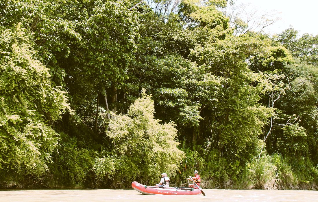 A raft floating under tall rainforest on the lower Savegre