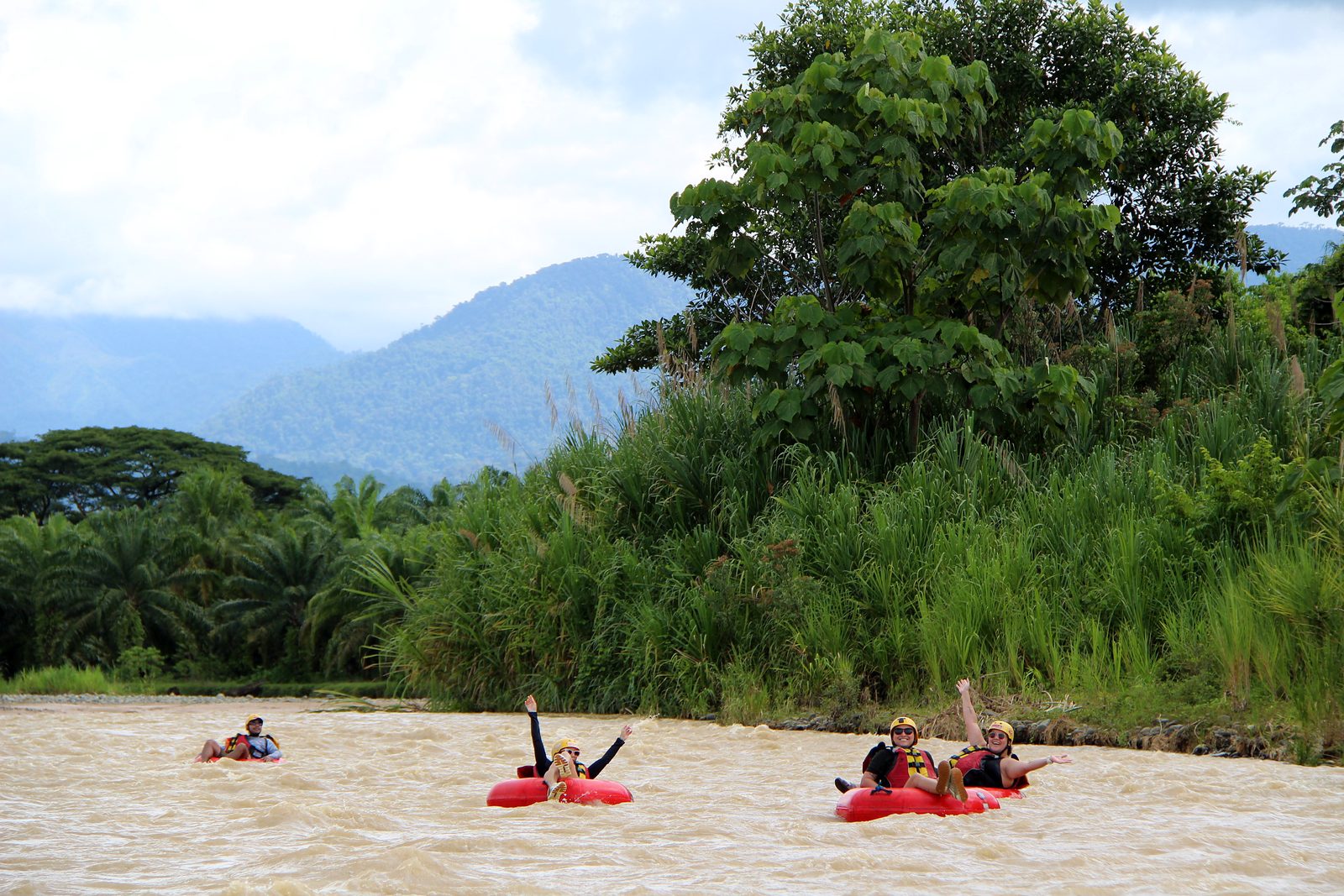 Guests wave from their tubes under a big tree by the Naranjo